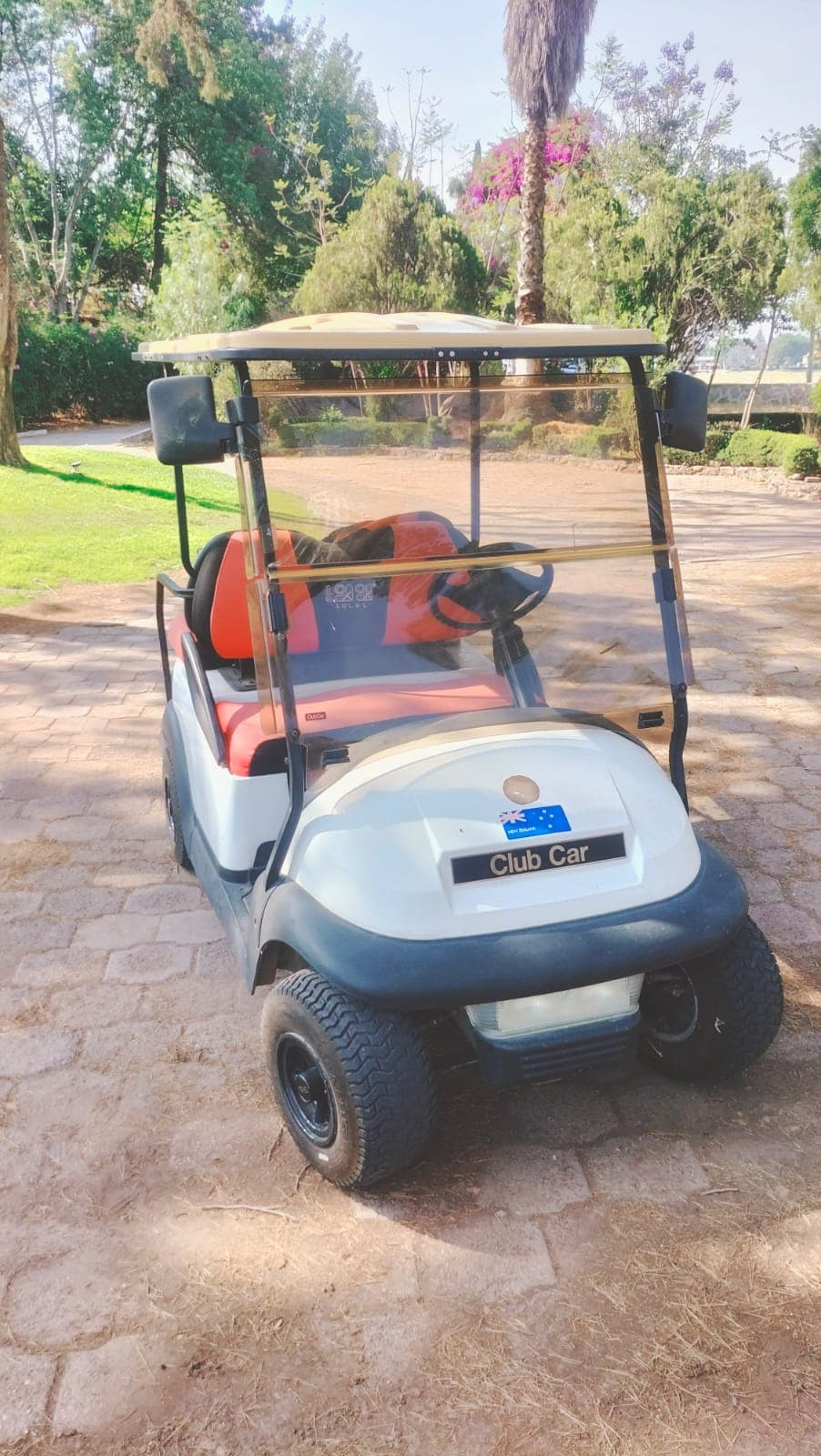 Carrito Ezgo 2017