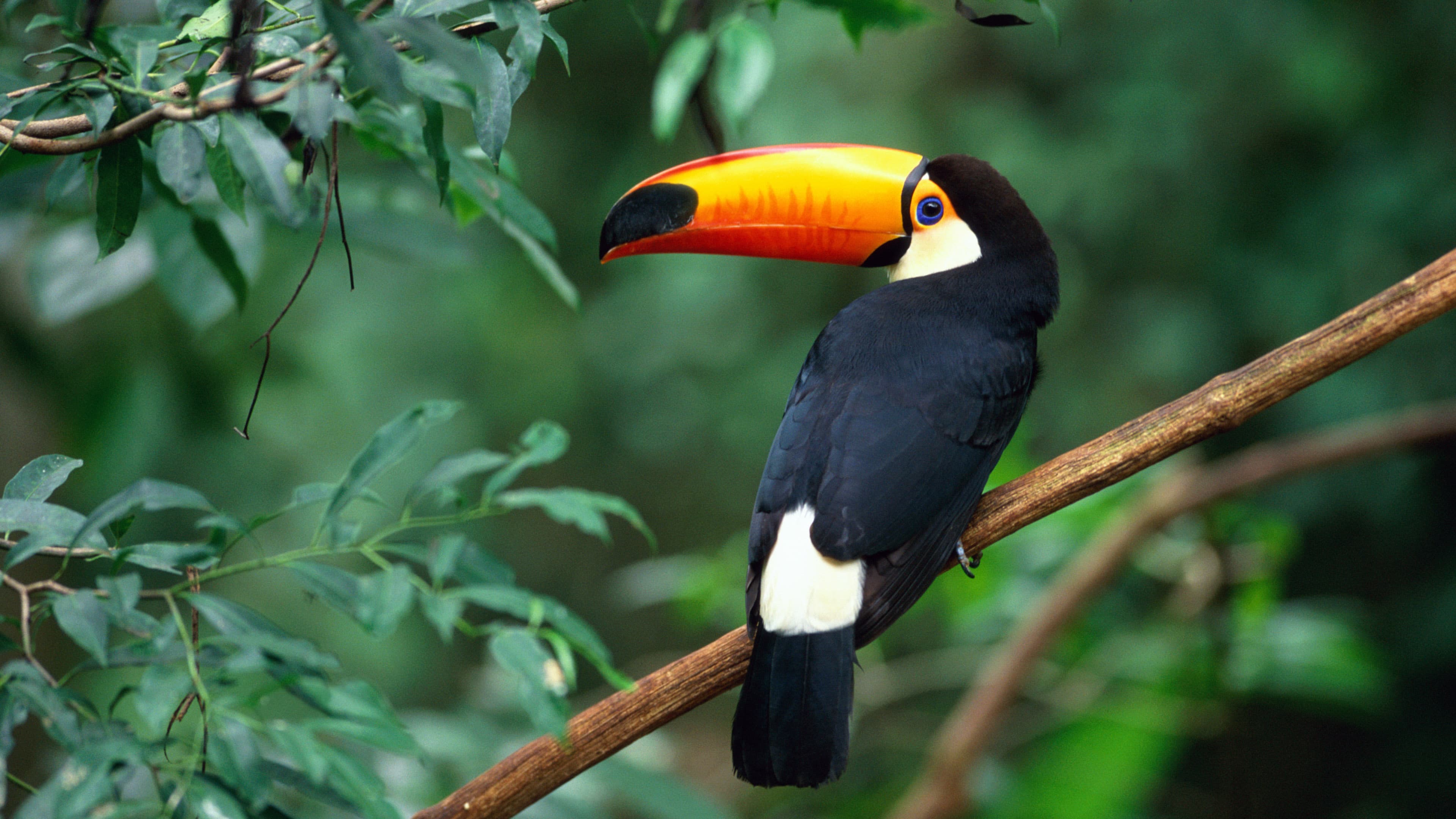 Capacitación en Desarrollo de Capital Humano